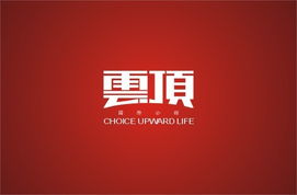 广告设计信息咨询服务，为品牌成功保驾护航