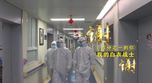 “守护天使”公益律师武汉上岗，为医护筑起法律后盾